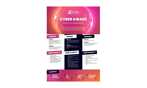 Cyberbewust infographic